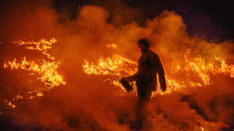 حرائق الغابات في أستراليا