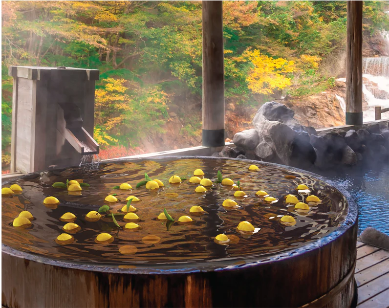 الانقلاب الشتوي في اليابان