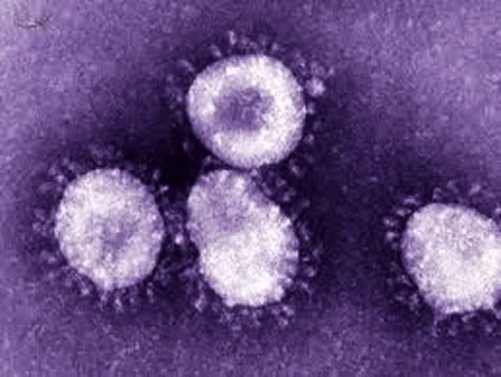 Coronavirus MERS en Corea del Sur — ¿Qué está pasando?