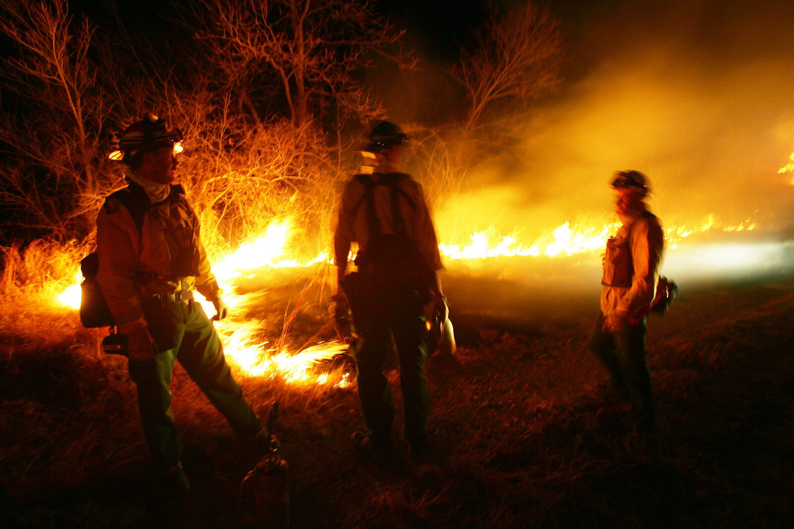 Raport Situațional în Curs: Valurile de Căldură și Incendiile de Vegetație în Europa