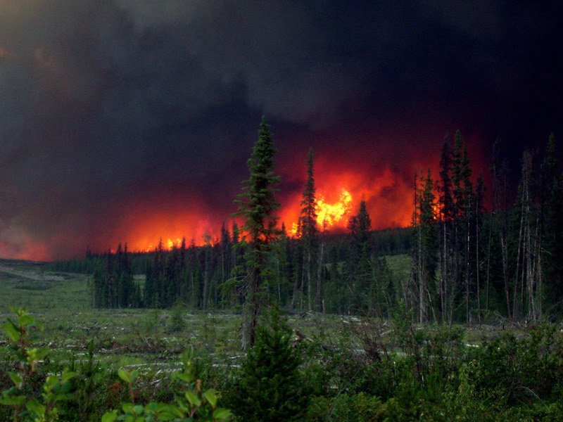 加拿大数省肆虐的野火