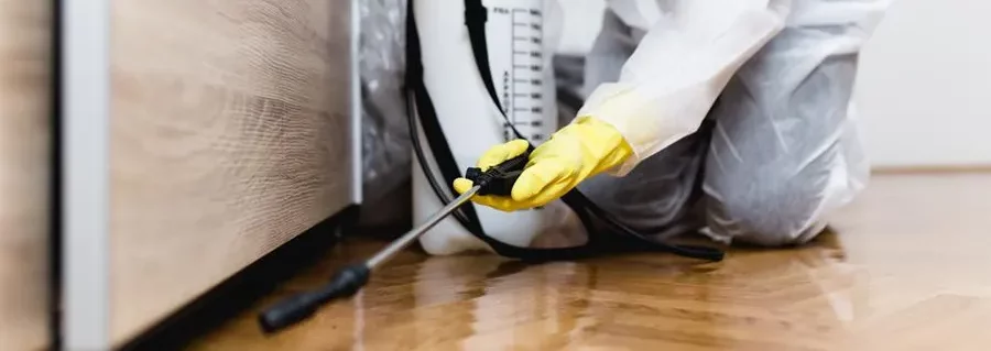 トコジラミ危機：拡散するパニック