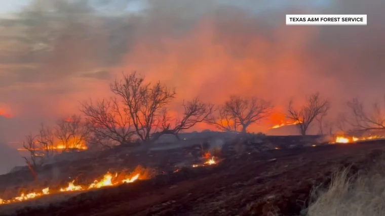 Incendio forestal en Texas